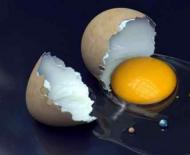 Yumurtalarda falcılık - yumurtalık Çiğ yumurtalarda falcılık